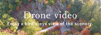 Drone video Enjoy a bird's-eye view of the scenery.