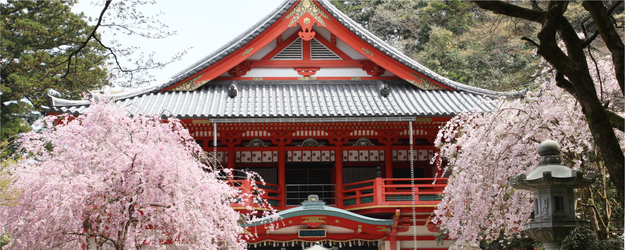 那谷寺の春