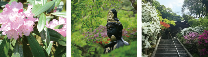 那谷寺の春